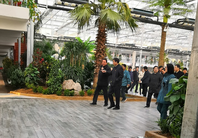 1548461305283003275.jpg 2.jpg