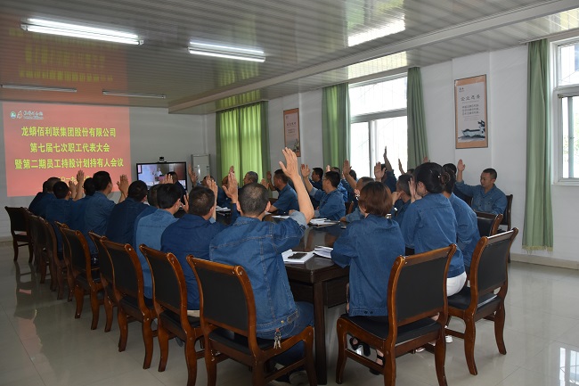 1557729189603031034.jpg 图为攀枝花公司职工代表大会举手表决现场.jpg