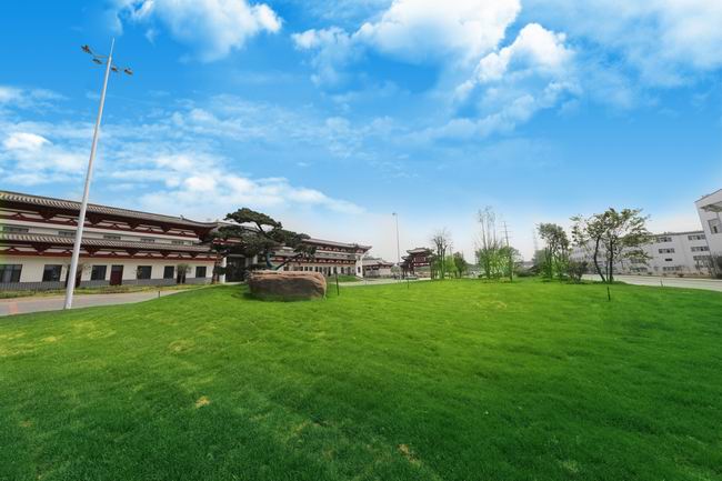 1579675161316091992.jpg 要事2--焦作园区景观奇异.jpg