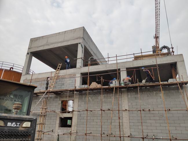 1582686081913095464.jpg 2020022501.jpg