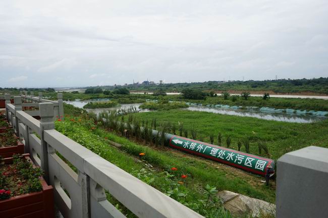 1594809880670097904.jpg 5-ÆæÒìµÄʪµØ¹«Ô°¾°¹Û-ÉãÓ° ÖìÑÞ.jpg